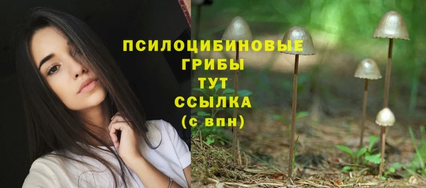 таблы Нея