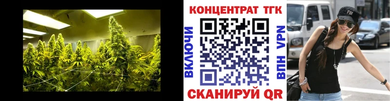 ТГК Wax  Полысаево 