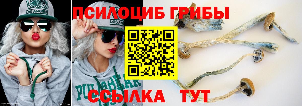 Псилоцибиновые грибы Cubensis  Вход с VPN  Полысаево  Псилоцибиновые грибы ЛСД 